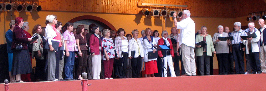 Sommer 2009 zum Parkfest in Oppin